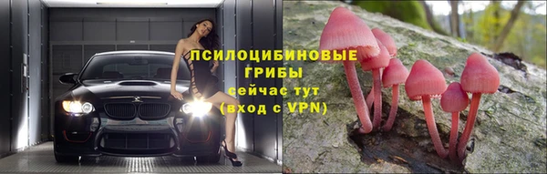 спиды Алзамай