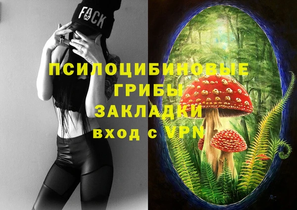 спиды Алзамай