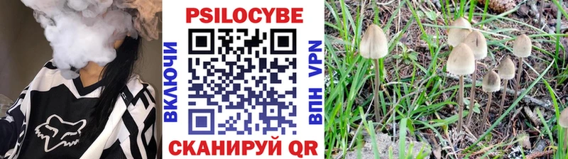 закладки  Нижний Ломов  Галлюциногенные грибы ЛСД 
